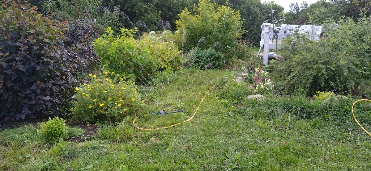 Все фото в статье мои, если не указано иное