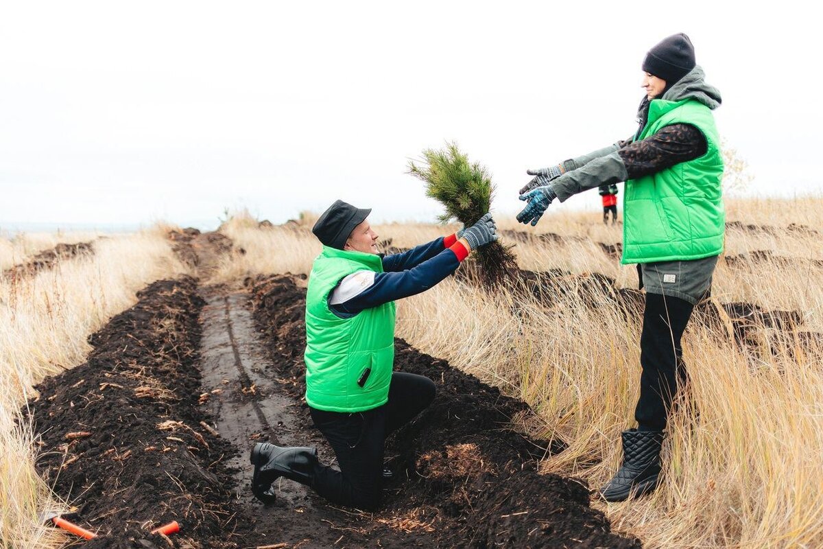 К 8 марта каждый может сделать удивительный, небанальный и важный подарок — посадить дерево! Вместо того, чтобы дарить мёртвые цветы... 
Чтобы принять участие в акции «Деревья вместо цветов», нужно:
🌳 выбрать количество деревьев на сайте PosadiLes.ru ,
🌳 внести пожертвование на их посадку,
🌳 оформить специальный подарочный сертификат

Волонтеры Движения высадят молодые леса этой же осенью на лесных территориях, пострадавших от пожаров, нашествия насекомых-вредителей или других природных катастроф. После посадки все обладатели подарочных сертификатов получат фото и GPS-координаты леса.