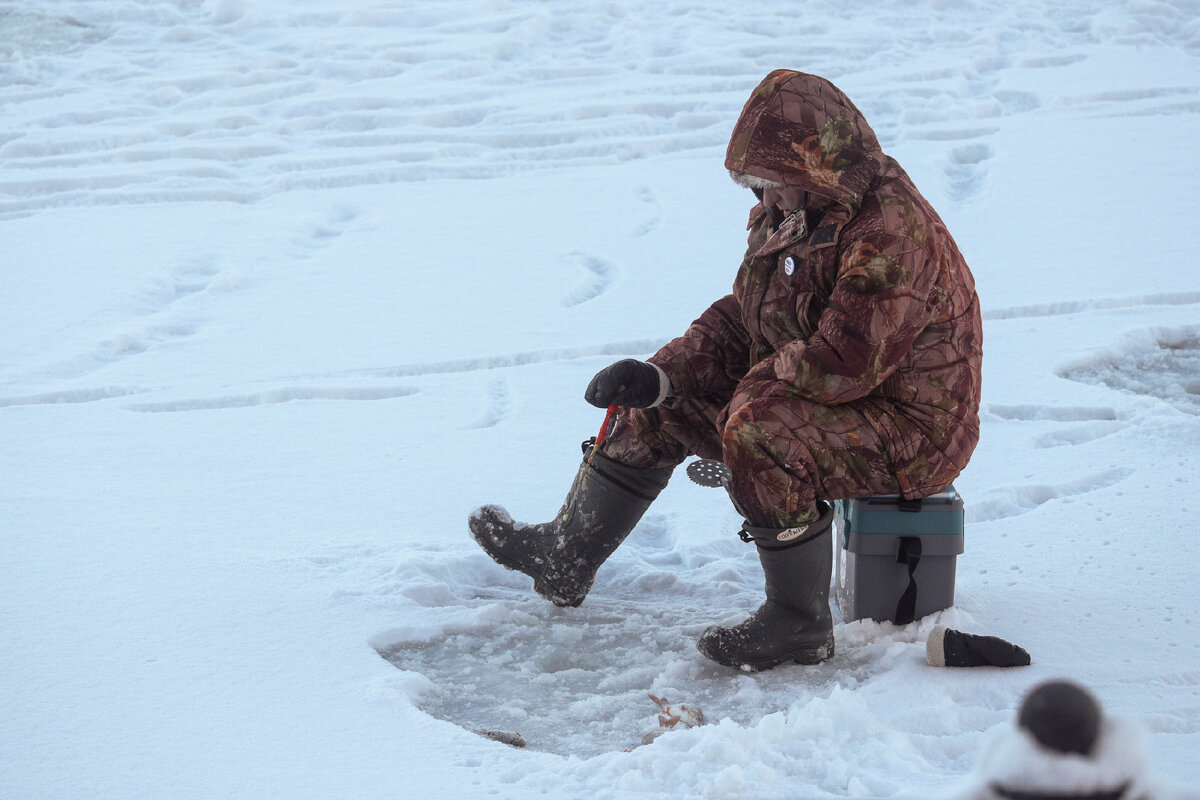 фото Bulkin Sergey/news.ru 