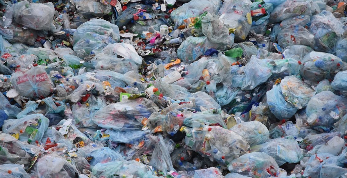    Фото: pixabay.com