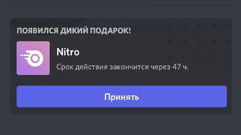 дискорд нитро бесплатно