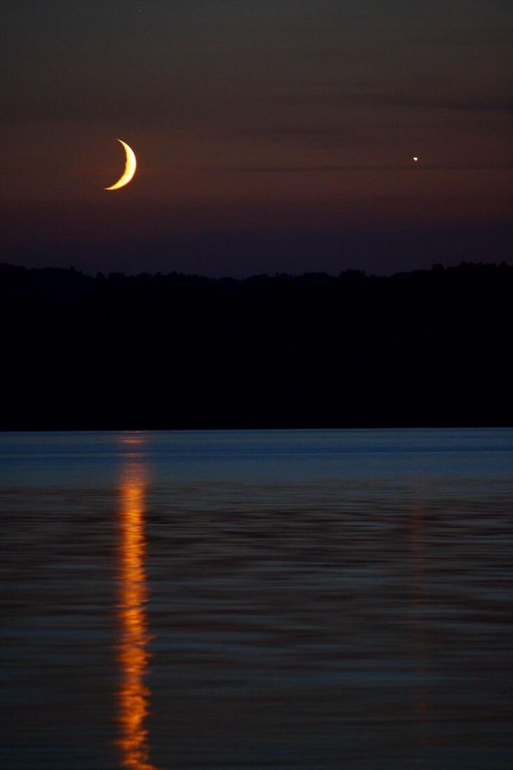 Яндекс картинки