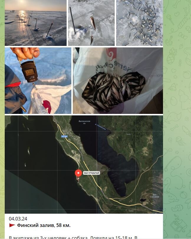 клуб рыбаков клуб рыбаков. клуб рыбаков спб. новости с водоемов. рыболовные места в спб. рыбалка новости с водоемов спб.