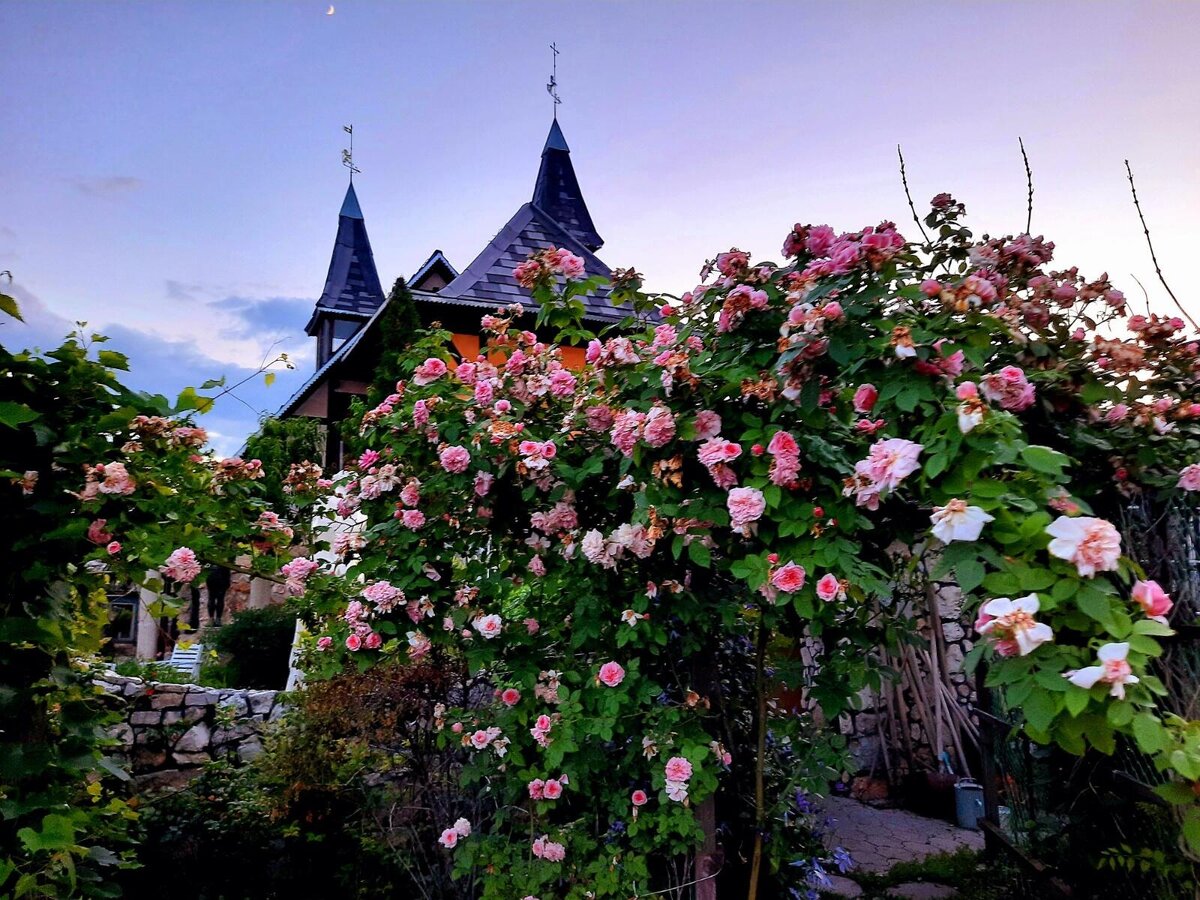 Авторское  фото