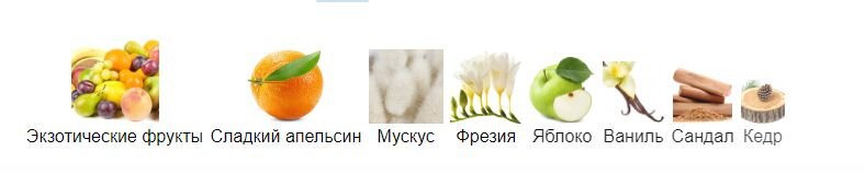 fragrantica.ru