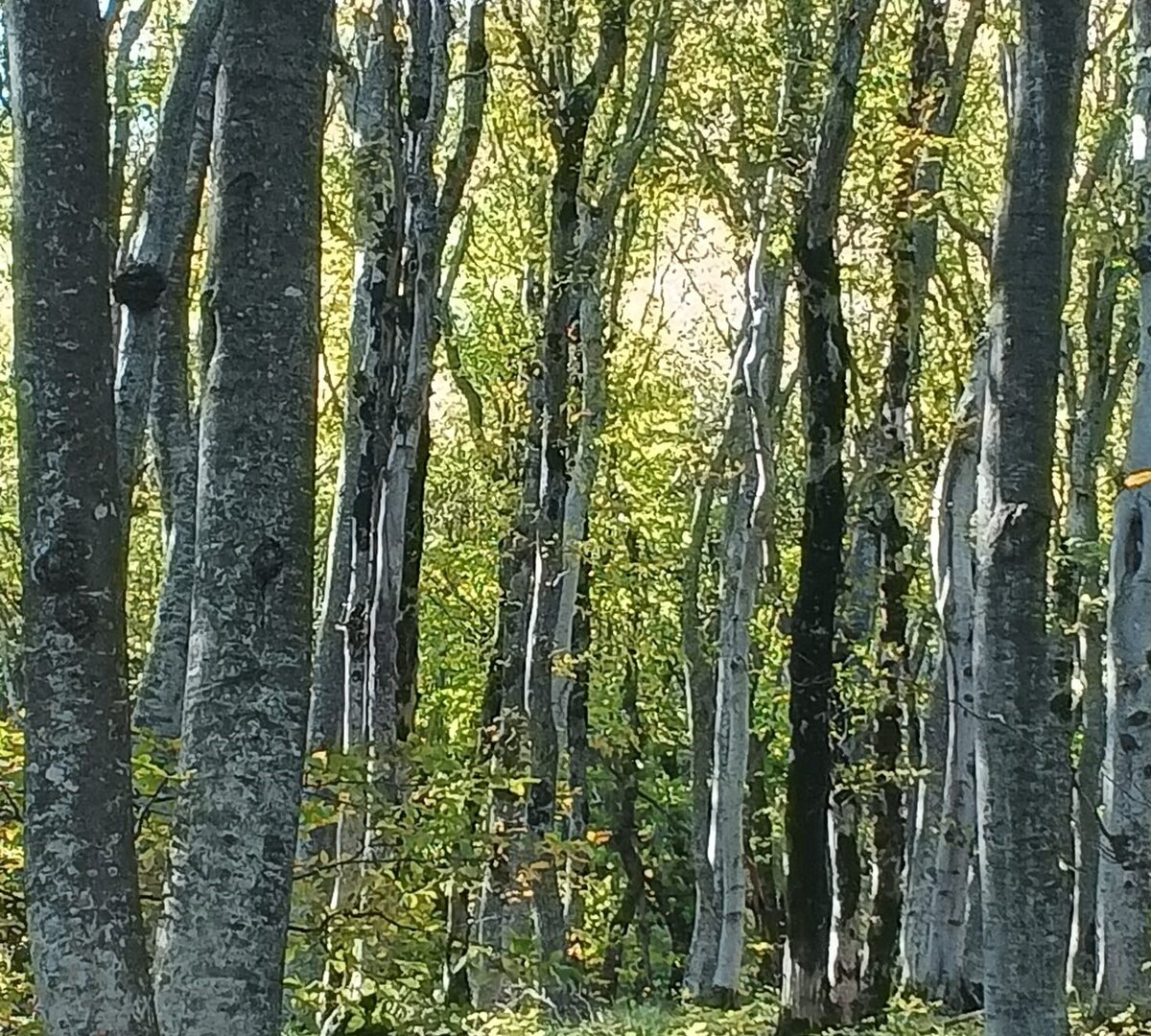 Фото Ларисы Малковой