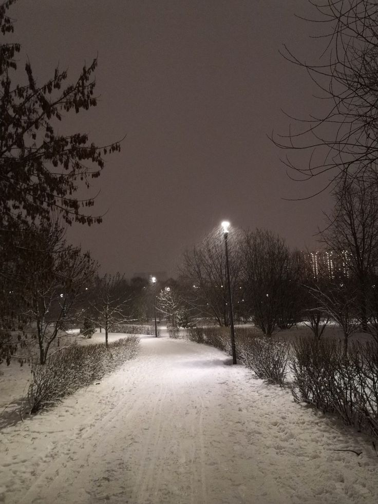 А еще зима приносит нам подарок в виде острого дефицита солнечного света, который, как вы знаете, необходим для синтеза витамина D.