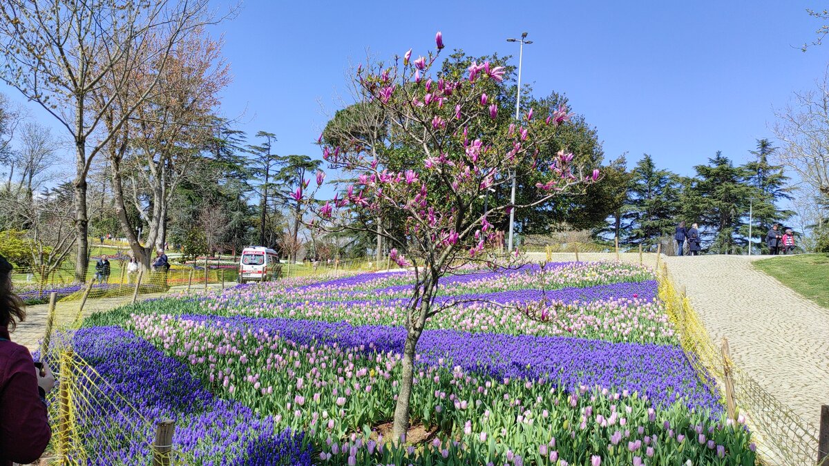 Встречаются в парке Эмирган и магнолии. Фото: Кирилл Полиенко/Polienko: путешествуем вдвоём