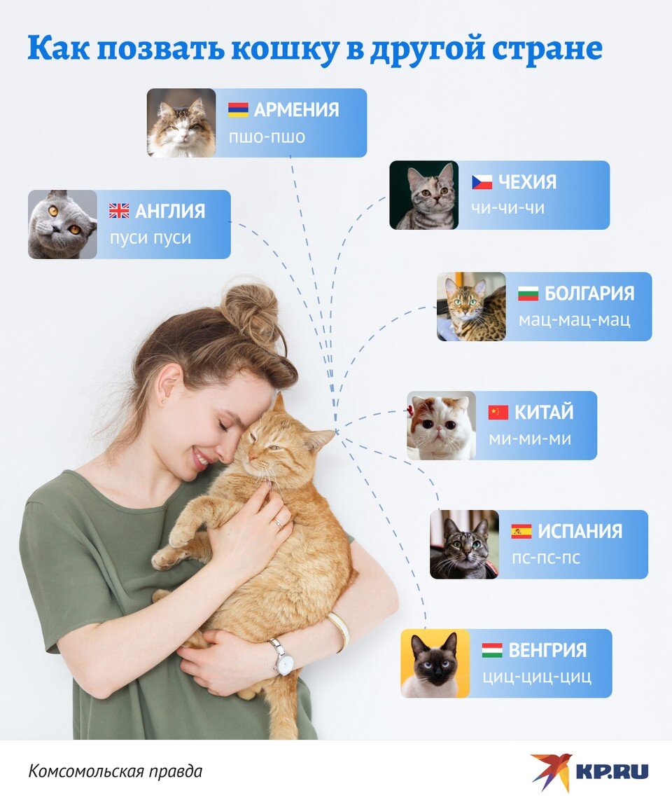   Дмитрий ОРЛОВ