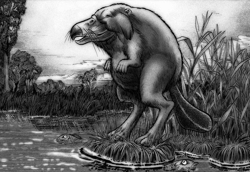 Бильдад собственной персоной. Изображение из открытых источников