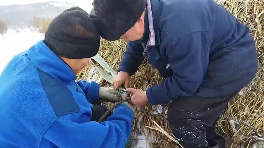 Пришла весна 🌱. Надо успеть вывести сено. Поехали на тракторе Дт - 75. Без сюрприза не обошлось