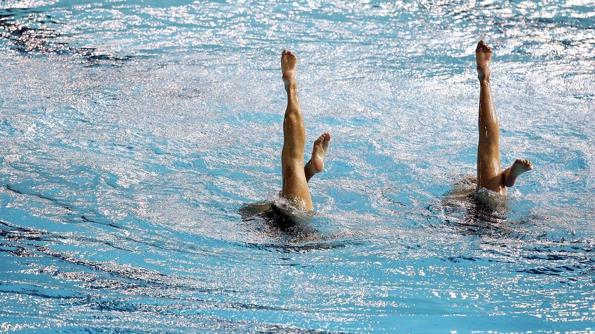 Чемпионат по водным видам спорта 2024