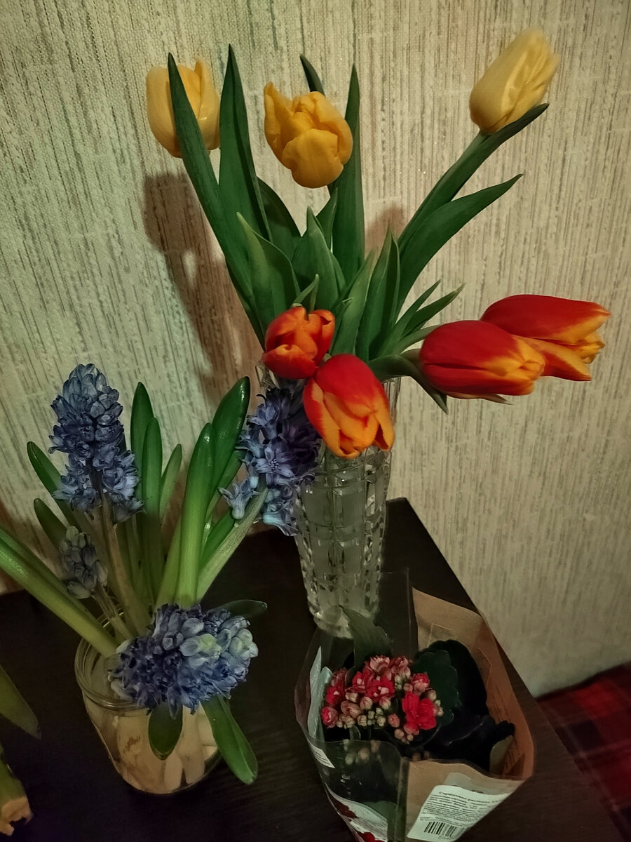 Тюльпаны мои