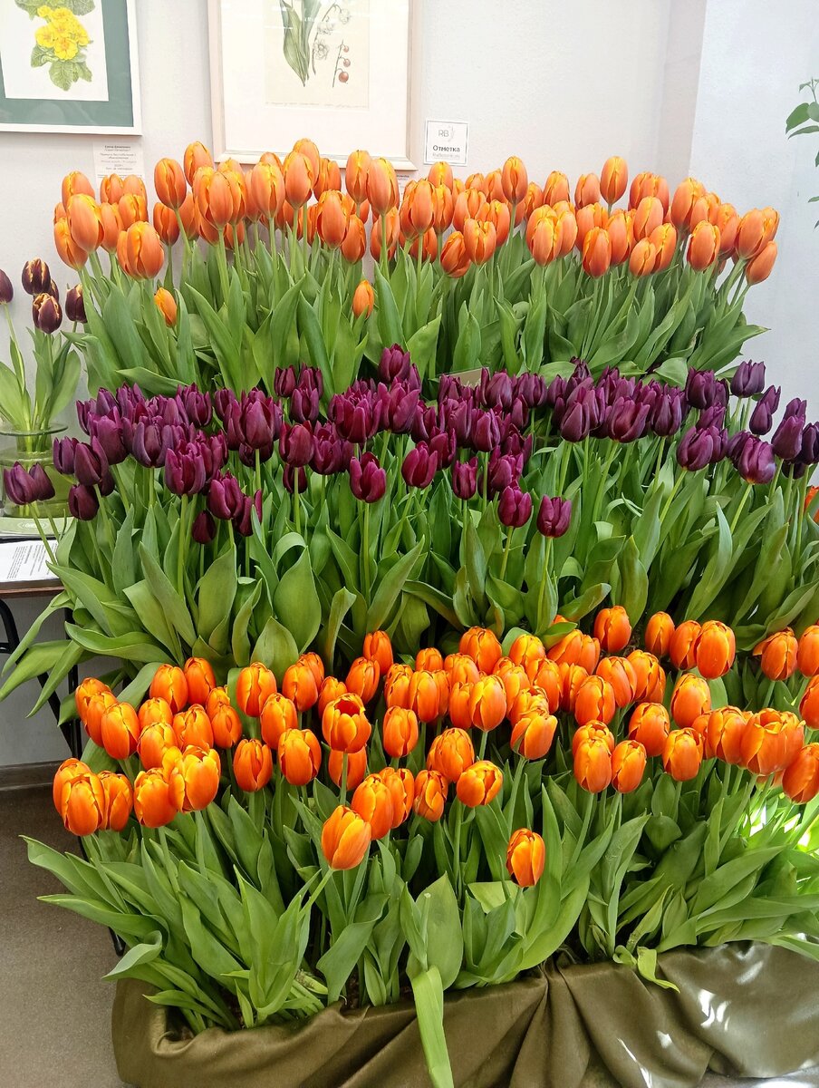 хочу и буду сад. хочу в садик картинки. надпись кем стать. хочу и надо картинки. и и чего мне на горшке не сиделось-анекдот.