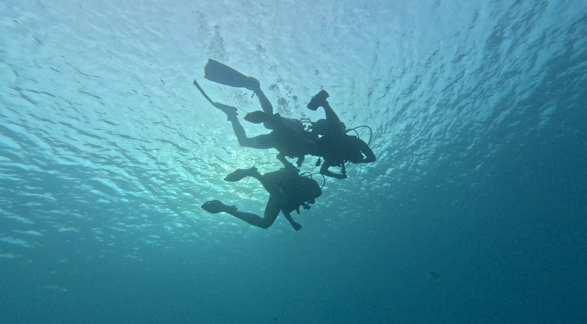 Фотография взята из источника adventureislands.ru
