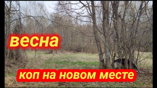 Весна, коп на новом месте