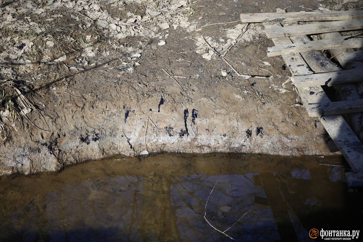 камешки в ручье. каменистый ручей. на дне ручья лежит. на дне ручья лежит. мальчик пытался попасть палкой в предмет находящийся на дне ручья.