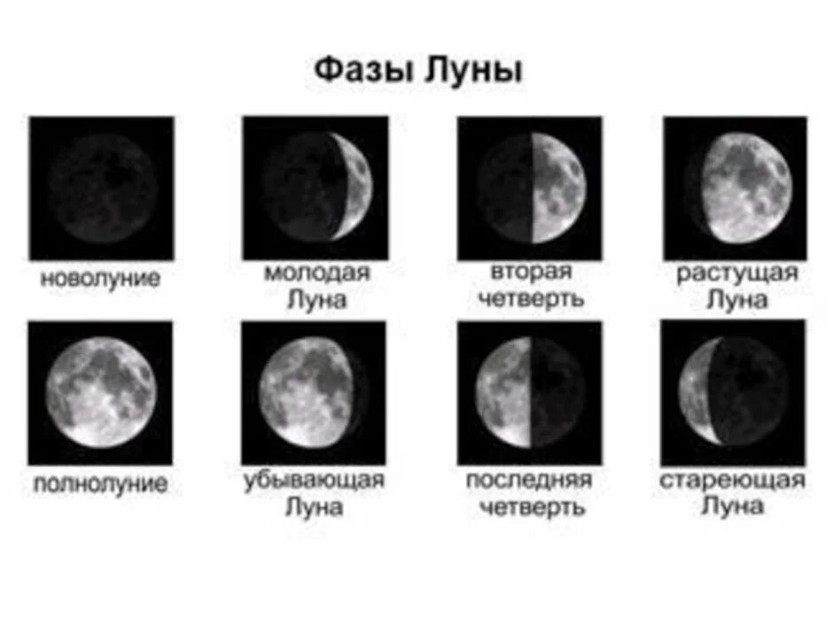 Период полной луны. Фазы Луны. Стадии Луны. Фазы Луны с названиями. Наблюдение фаз Луны.