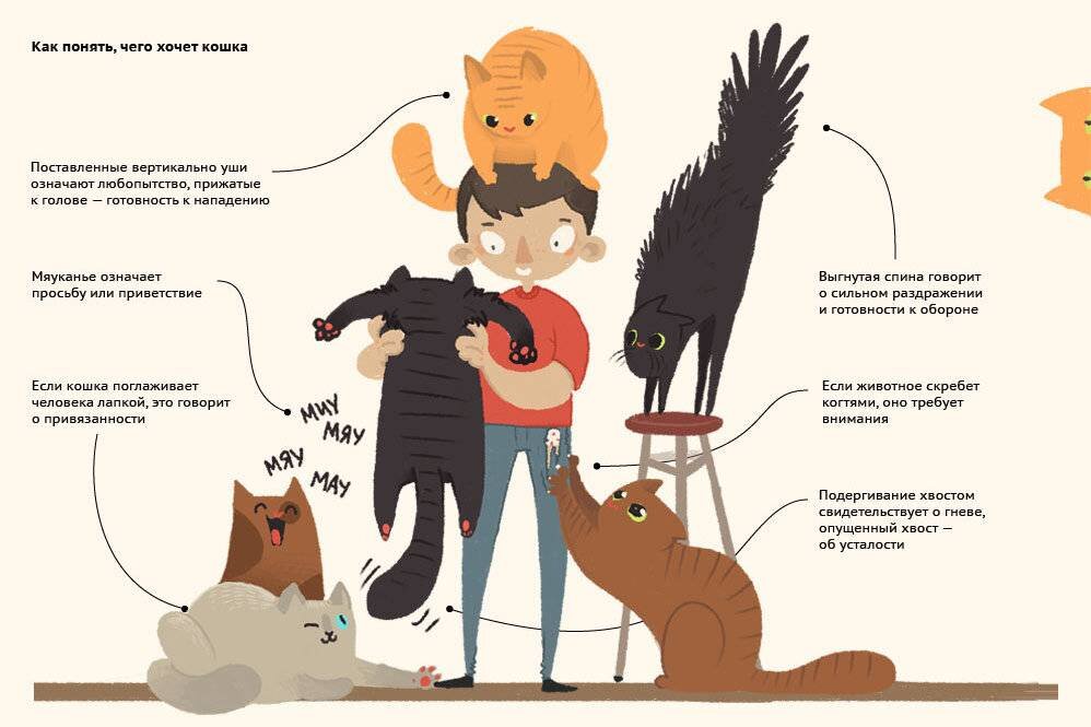 Фото с Яндекс картинки