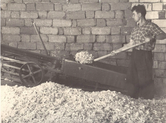 Эфиромасличное предприятие "Крымская роза"