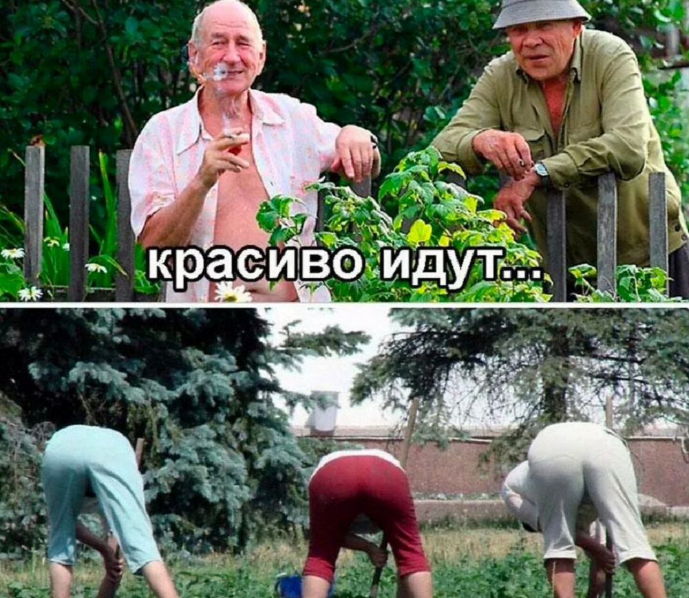 Картинки смешные дачники