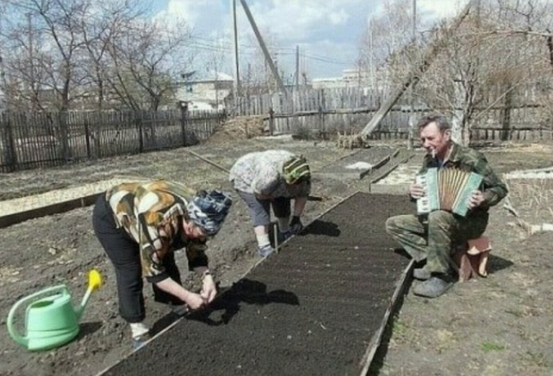   Вот и весна наступила. Очень скоро все поедут на дачи, открывать сезон. А пока вспомним самые смешные фото «из огорода» и посмеемся от души.-25