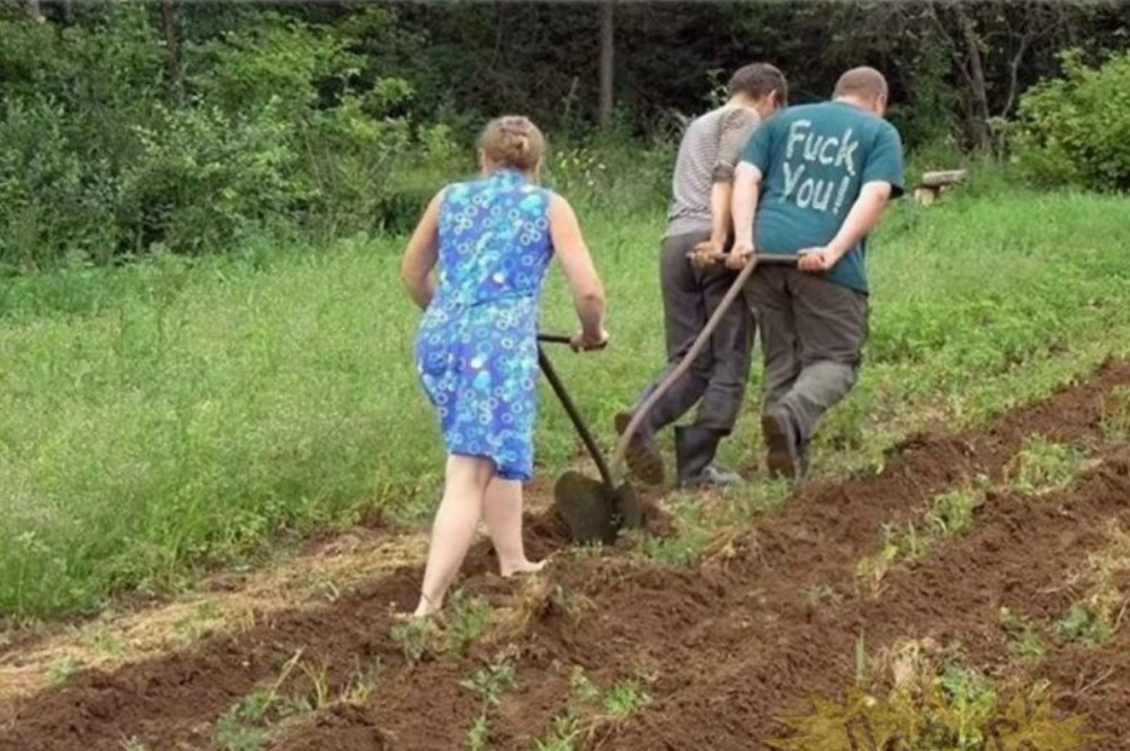   Вот и весна наступила. Очень скоро все поедут на дачи, открывать сезон. А пока вспомним самые смешные фото «из огорода» и посмеемся от души.-26