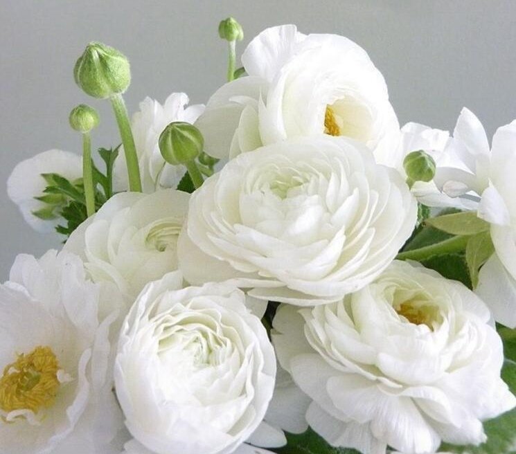 Фото из свободного доступа