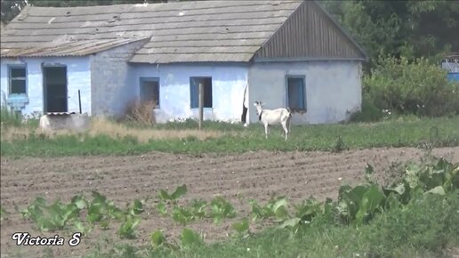 Сельская женщина трахается в сарае - порно видео