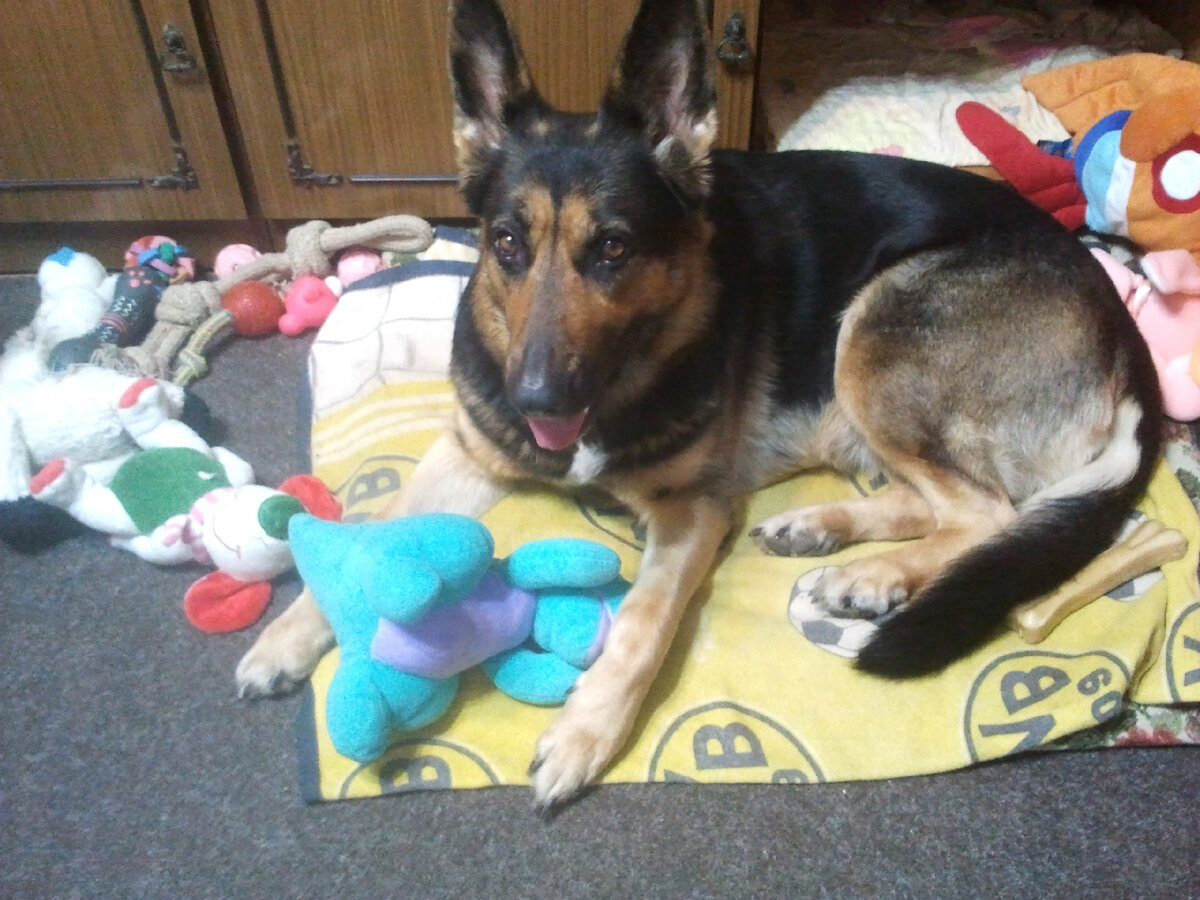 Фото автора