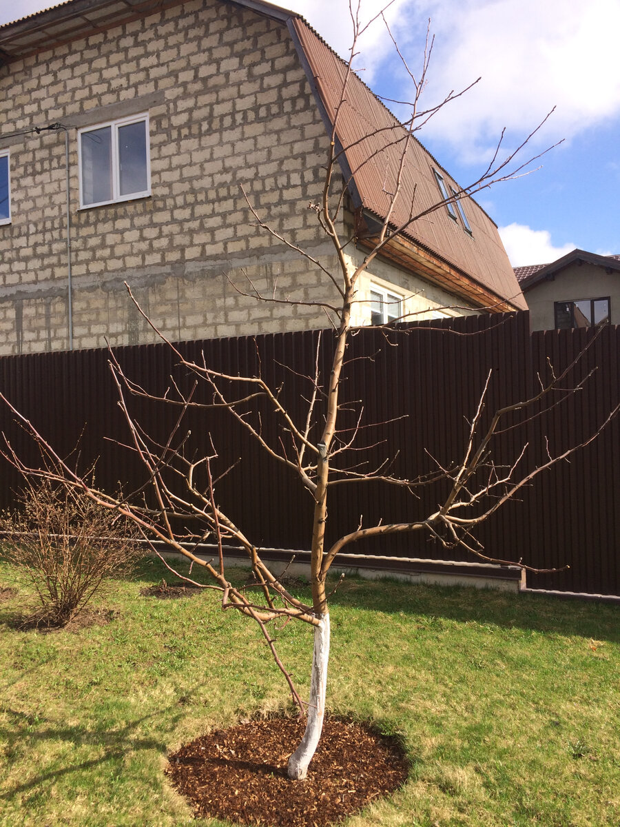 26 апреля 2022