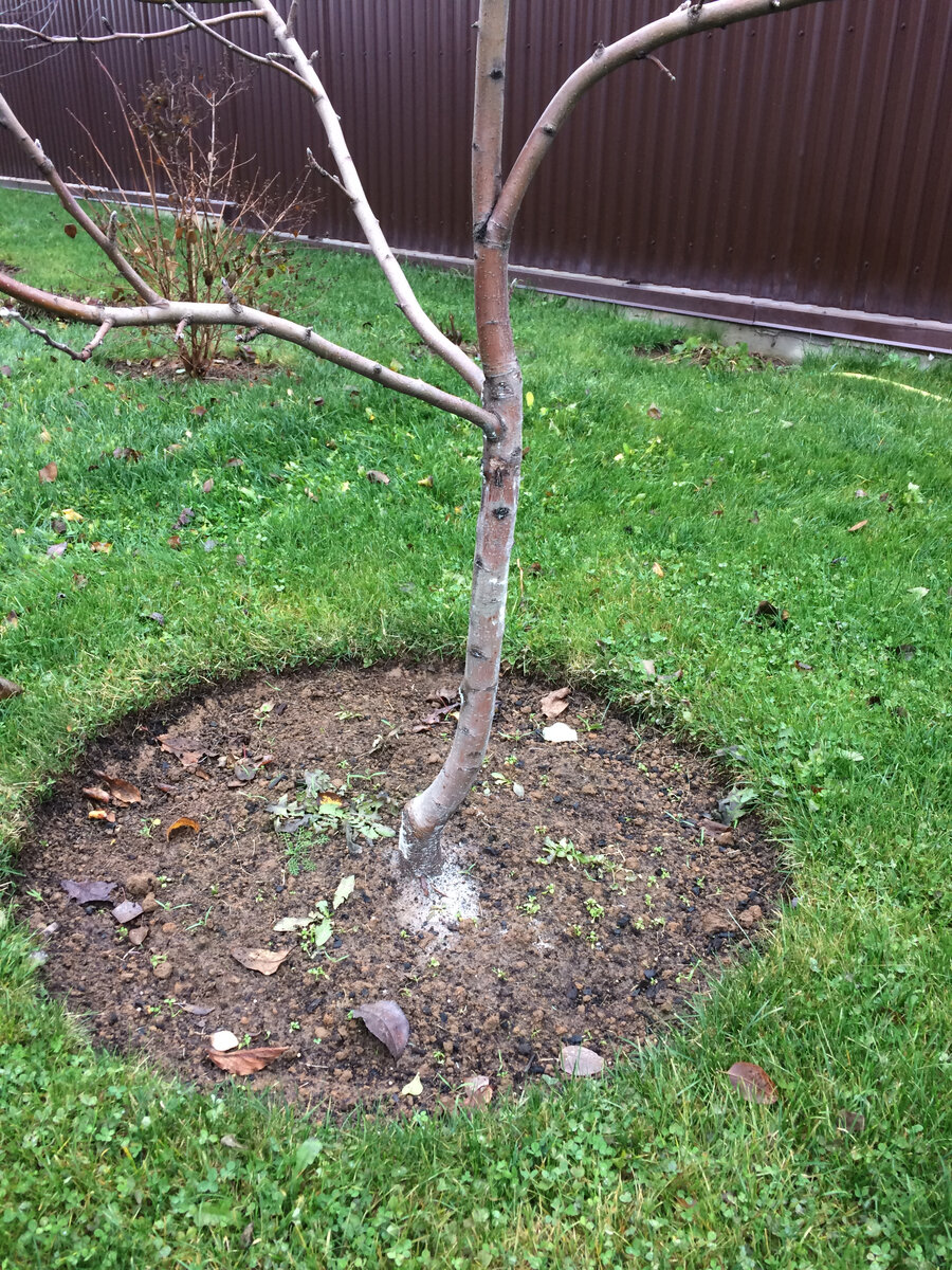 10 ноября 2019