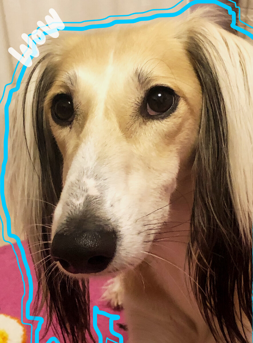 Надеюсь вам понравятся все видео! 