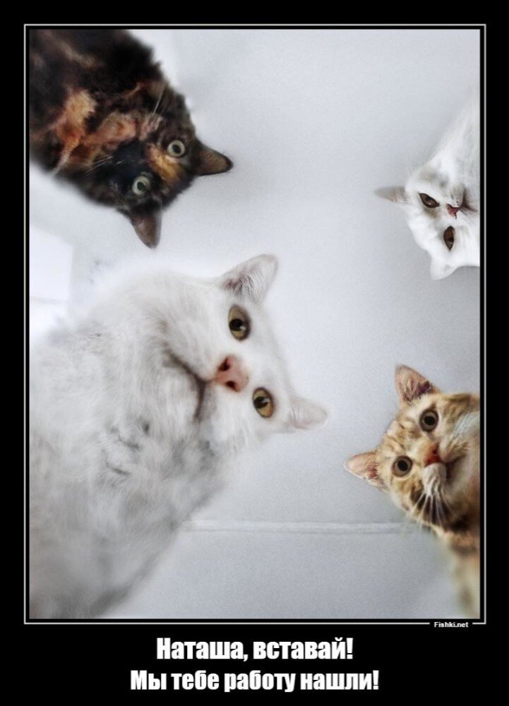 фото из общедоступной сети интернет