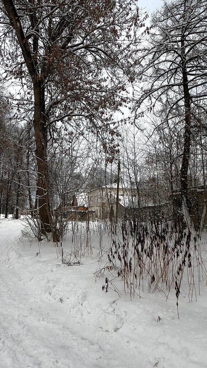 Вероятный дом ведьмы