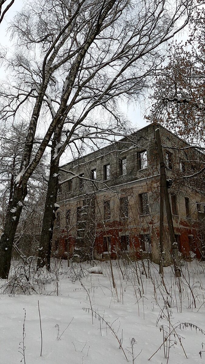 Больница или школа?