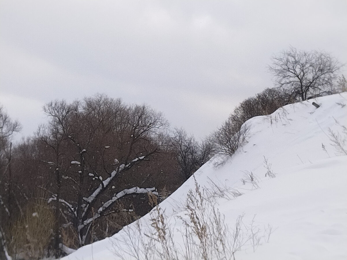 зима пейзаж. зимой день короче ночи. ариша зима писатель. зима была длинной. зима была длинной.