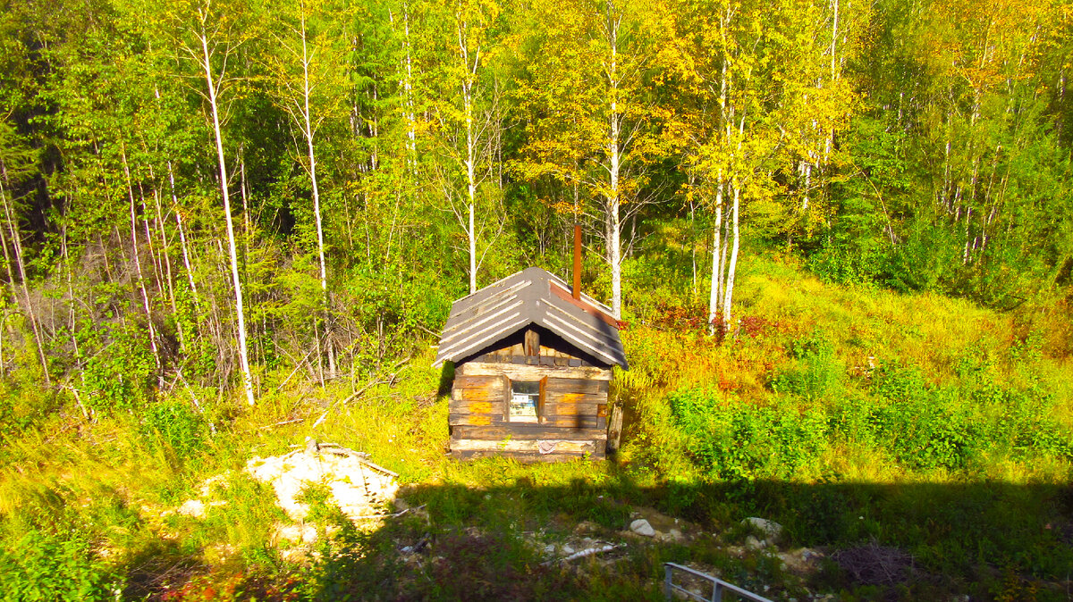 Геологи в тайге. Железная дорога в лесу. Тайга северная карелия. Верхоянская тайга. Тайга страшные места.