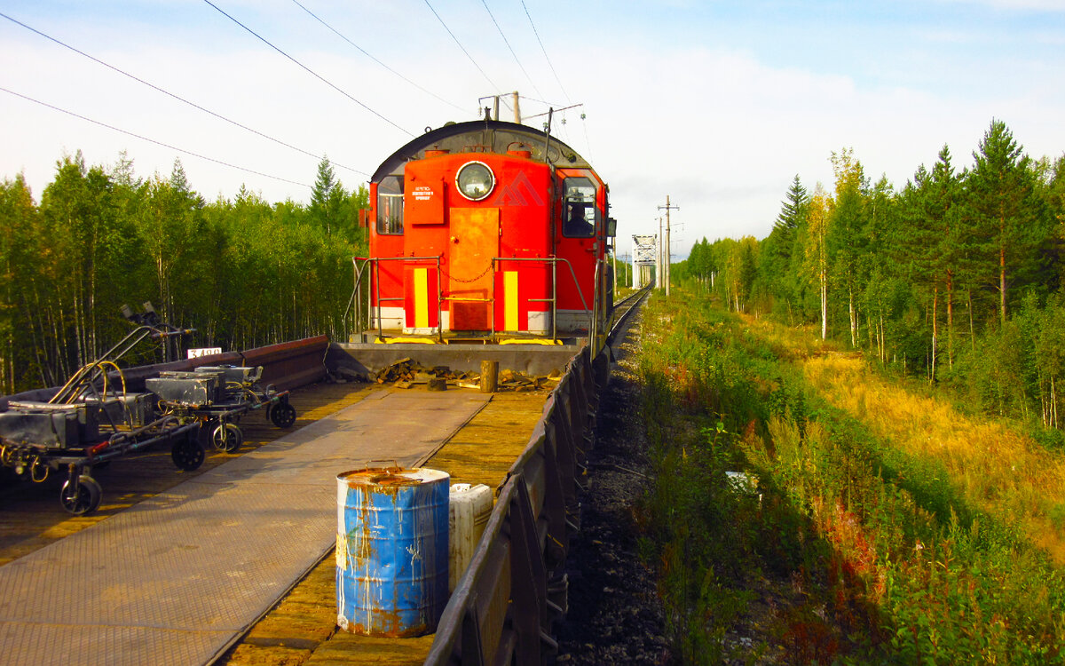 Промысел в тайге. Не работает тайга. Экологические проблемы и охрана природы тайги. Не работает тайга. Не работает тайга.
