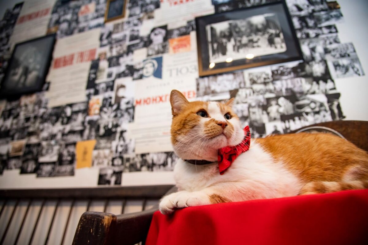 Нарядился для такого события.