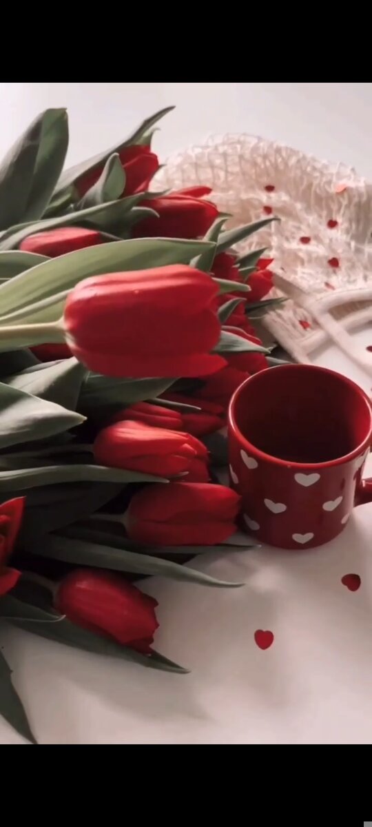 Первый шаг весны,                                                                  это праздник, который таится.                                                     В сердцах прекрасных девушек                                                 это праздник длиной в месяц.                                      Материнская любовь,                                                                это тот праздник, которого ты ждешь.                                         С 8 марта, красавицы.                                                                 Не грусти, не позволяй боли заставить тебя плакать.