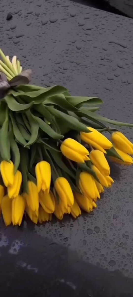 С цветами на губах.                                                               Сегодня настал тот день                                                   Подарки с деньгами.                                                          Сегодня настал тот день                                                              С самыми сладкими пожеланиями.                                                           Сегодня настал тот день.                                                                   Поздравляю, сестра.                                                                    8 марта тебе.                                                                        Никогда не грусти.                                                                      Не плачь тебе от боли.