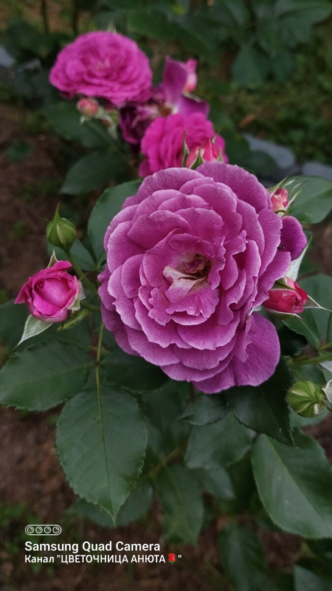 сценарий разговора с клиентом. вопросы на выявление потребностей клиента примеры. вопросы на тему защита прав потребителя. список вопросов для выявления потребностей. какие вопросы задать.