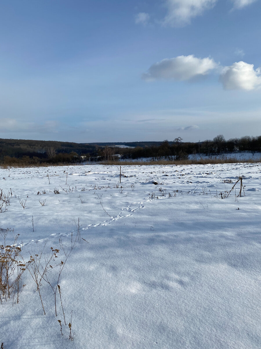 У нас там и впрямь хорошо