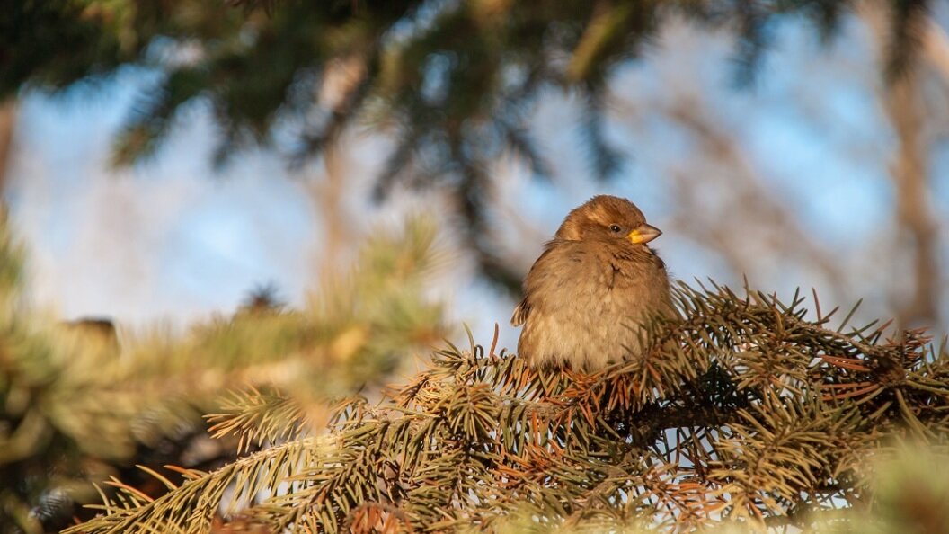    Фото: Svetlana Vozmilova/Global Look Press