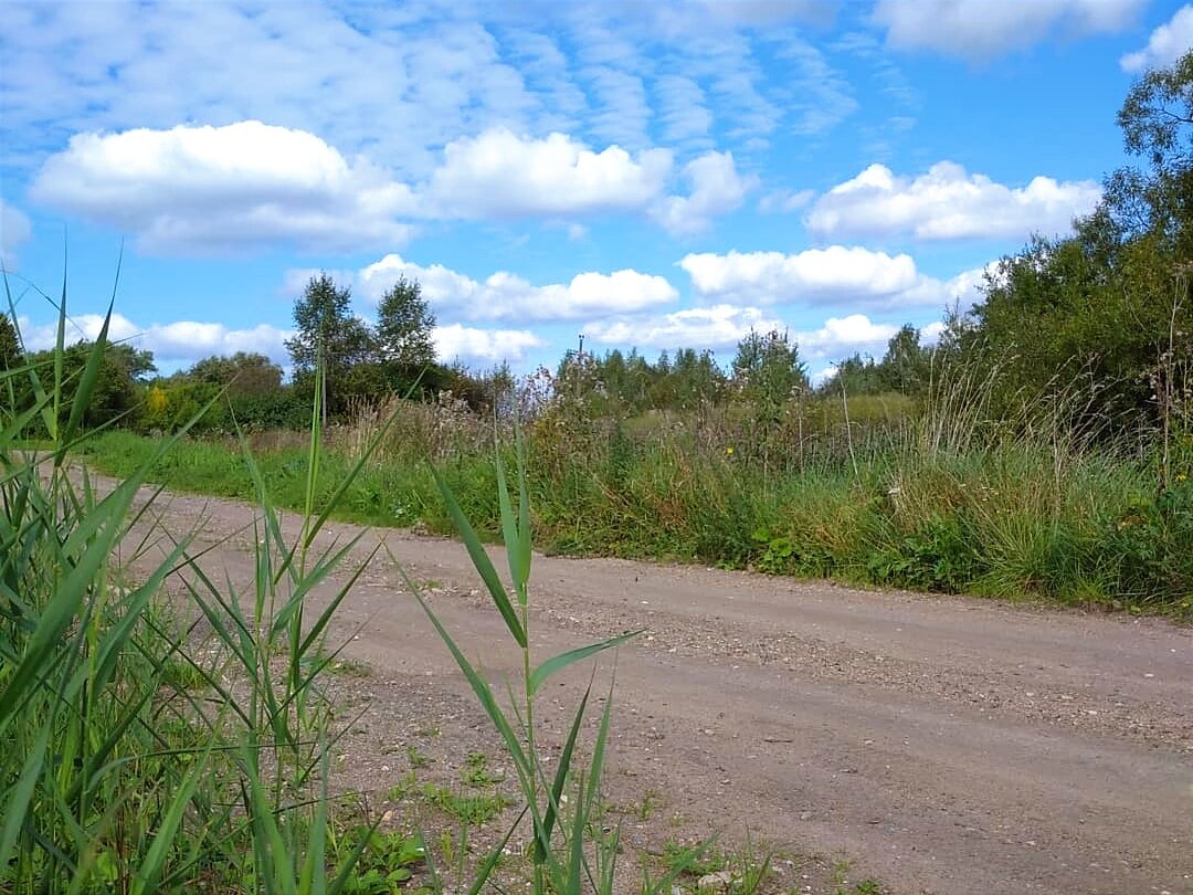На просёлочной дороге