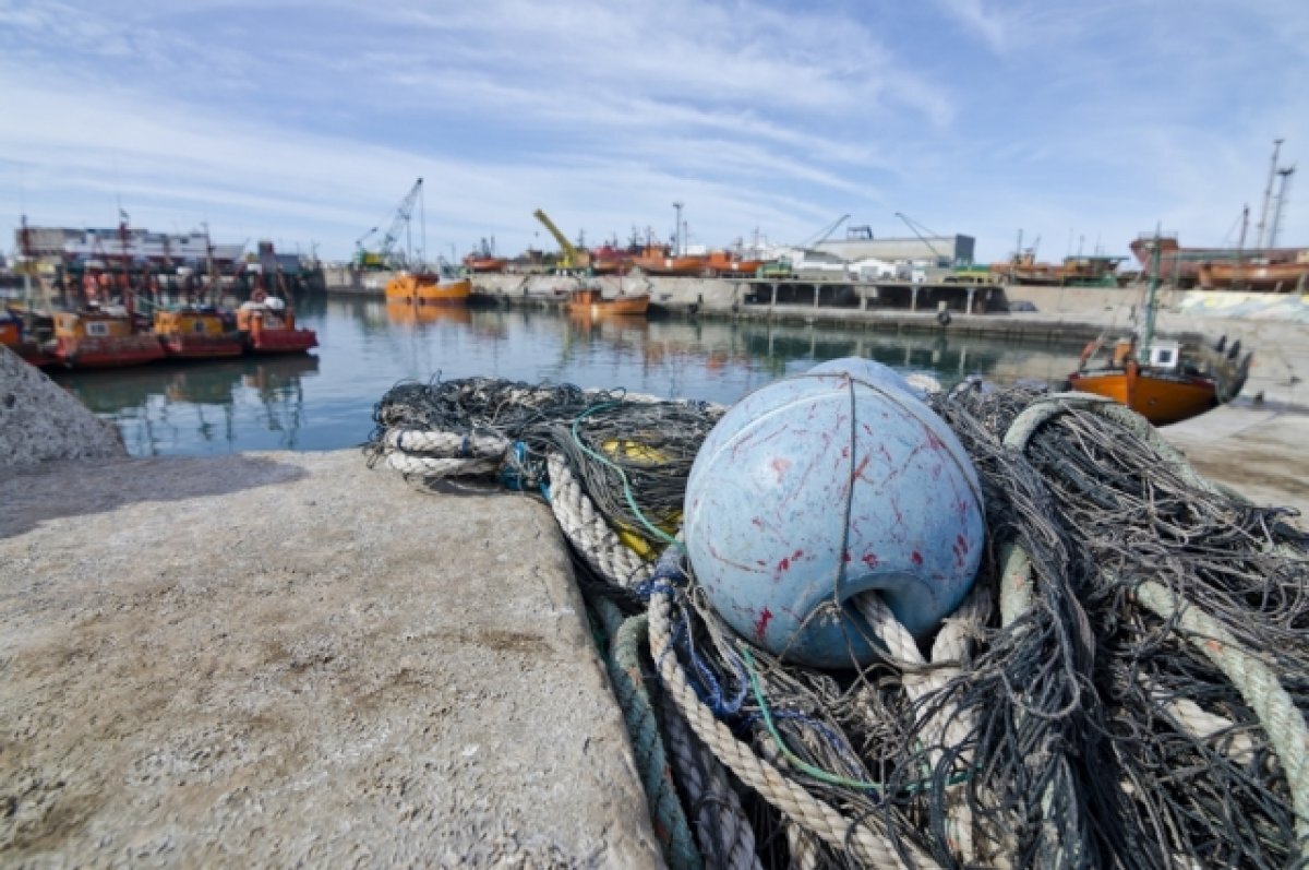    В Приморье презентовали проект нового рыбного порта с бассейнами для крабов