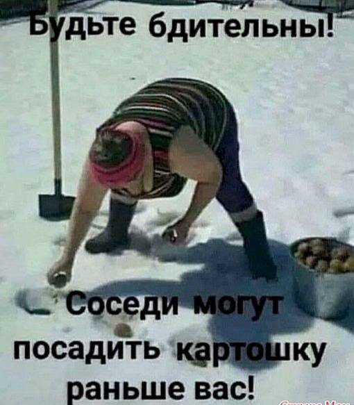 Из интернета