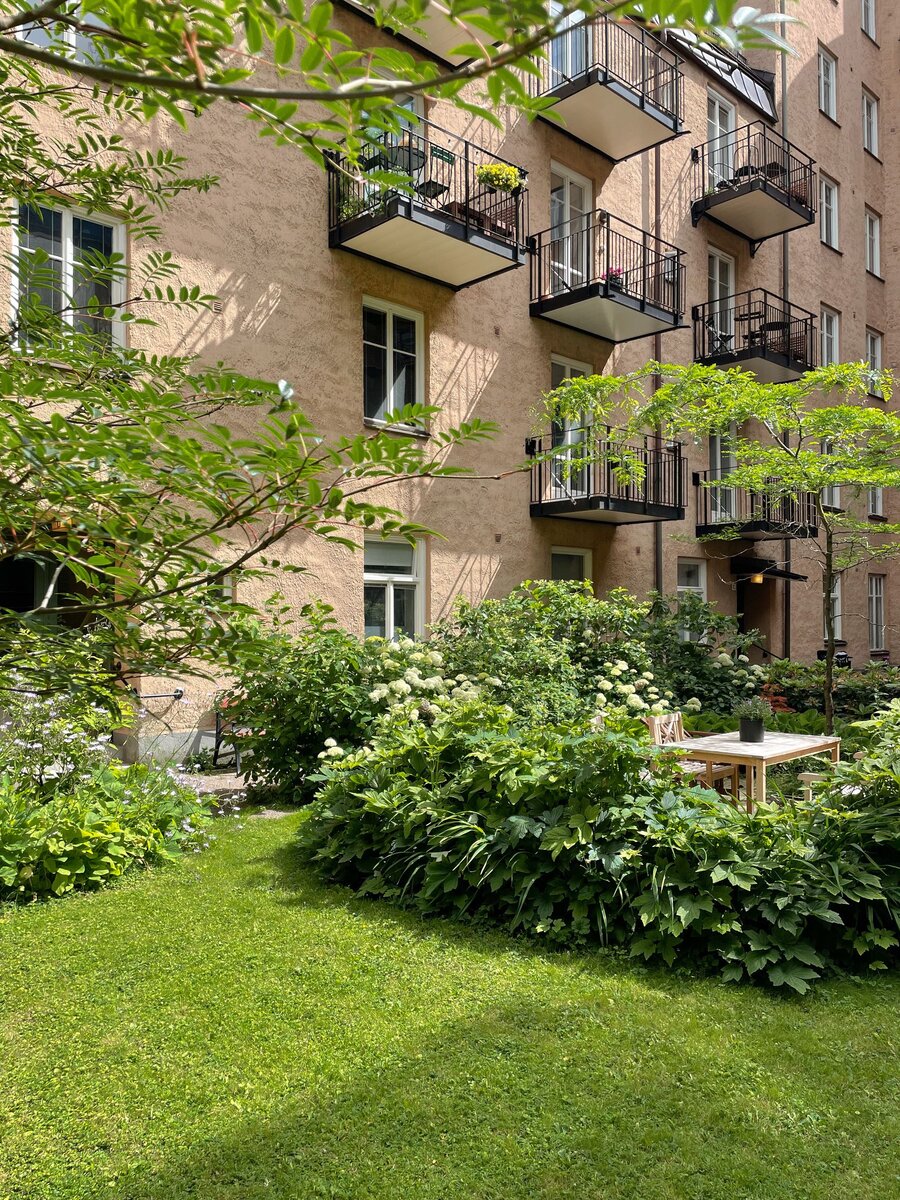 красивый двор. красивый внутренний дворик. современный ландшафт. зеленый двор. озеленение жк серебряный бор.