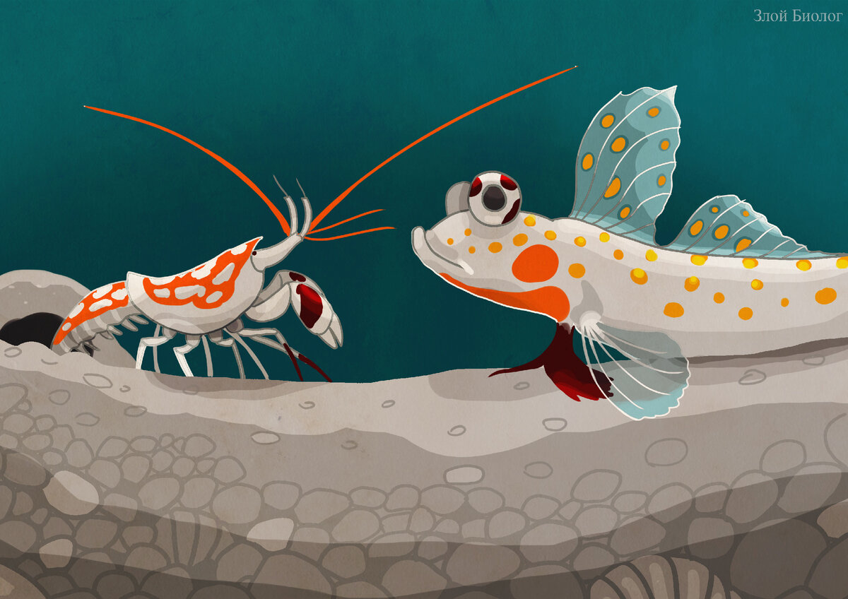 Рисунок автора